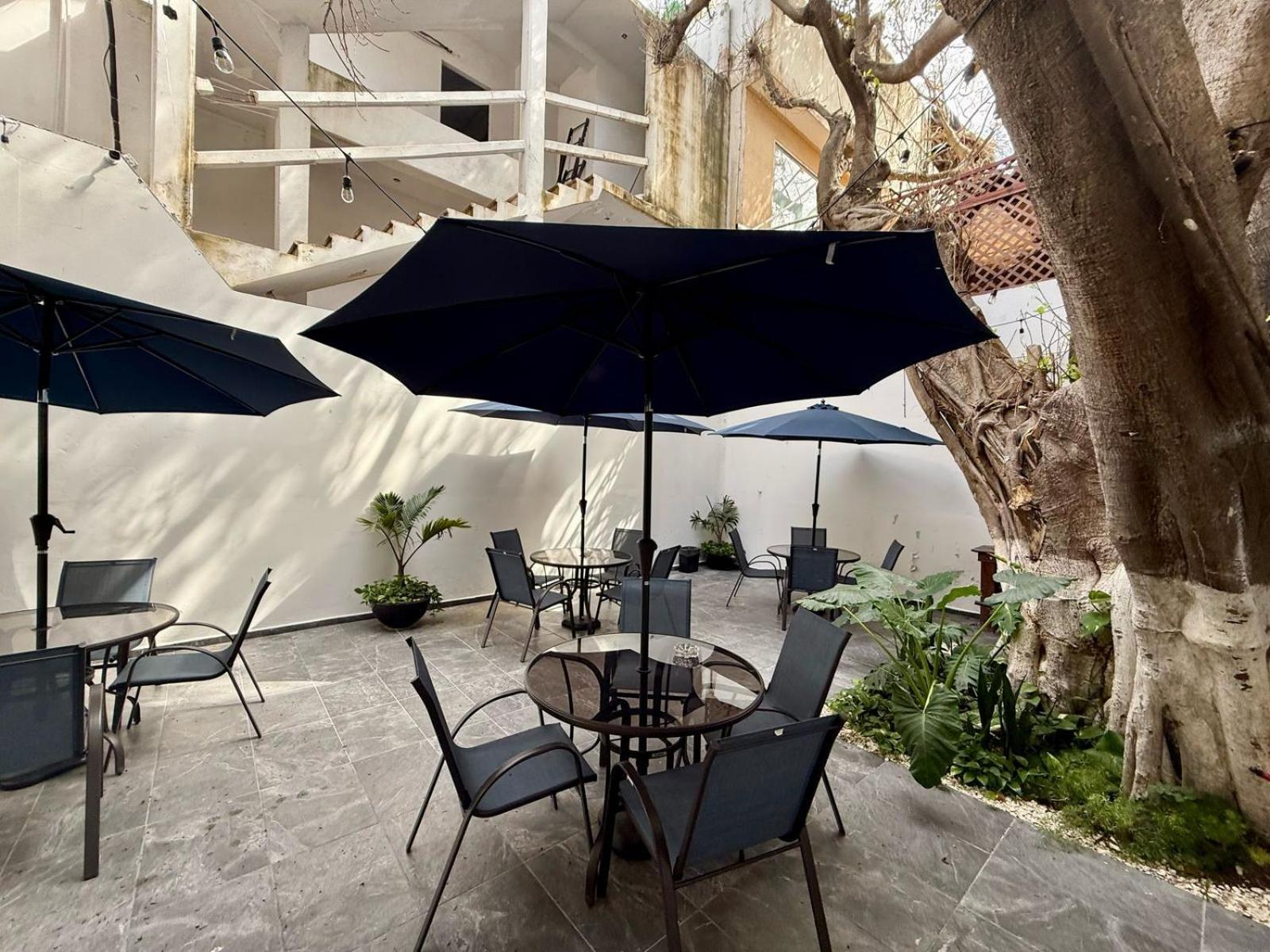 Hotel Casa Tortuga 5Th Ave Playa del Carmen Exteriér fotografie